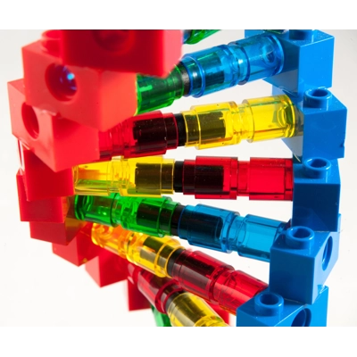 Pure Geek Deoxyribonucleic Acid DNA Building Block model