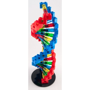 Pure Geek Deoxyribonucleic Acid DNA Building Block model