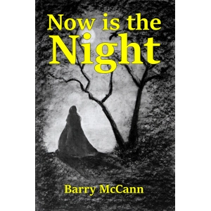 Now Is The Night by Barry McCann