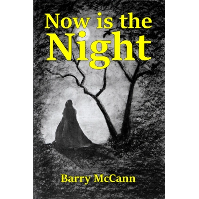 Now Is The Night by Barry McCann title=