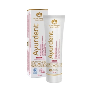 Ayurvedic Herbal Toothpaste 75gm