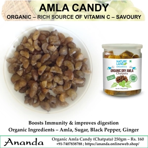 Organic Amla Candy Chatpata (Savoury)