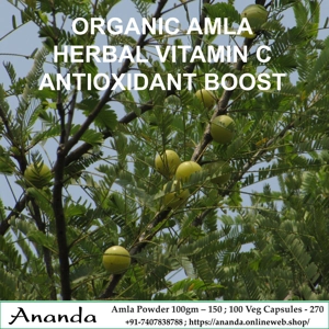 Organic Amla Powder 100gm