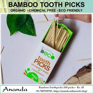 Bamboo Toothpick- 100 Picks Bamboo Toothpick- 100 Picks