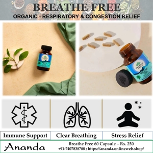 Breathe Free 60 Capsule