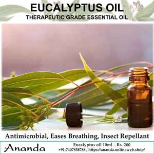 Eucalyptus oil 10ml