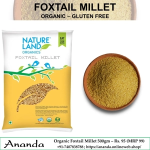 Organic Foxtail Millet 500gm