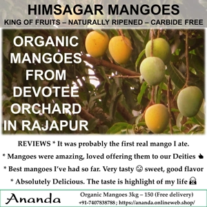 Organic Mangoes 3kg