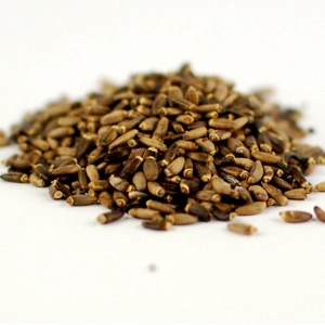 Milk Thistle Seeds 100gm
