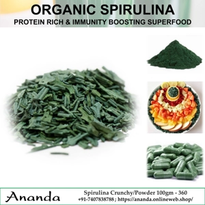 Organic Spirulina Crunchy 100gm