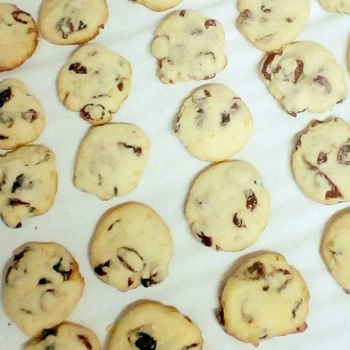 Cranberry and Orange Cookies