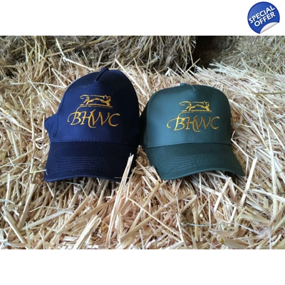 Baseball Caps title=