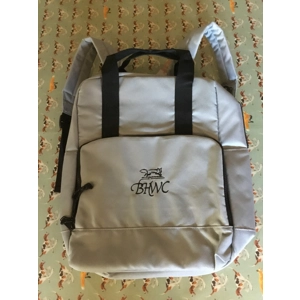 Cool bag backpack style