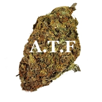 ALASKAN THUNDER FUCK (Sativa) AAA