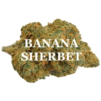 BANANA SHERBET (Hybrid) AAA+