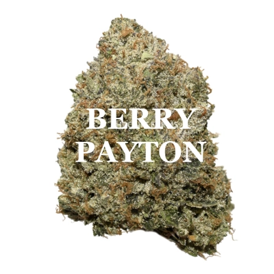BERRY PAYTON (Hybrid) AAAA