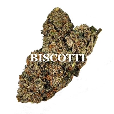 BISCOTTI (Indica) AAA++ BISCOTTI (Indica) AAA++