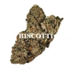 BISCOTTI (Indica) AAA++