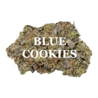 BLUE COOKIES (Indica) AAA+