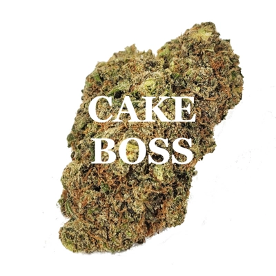 CAKE BOSS (Ind/Hyb) AAAA
