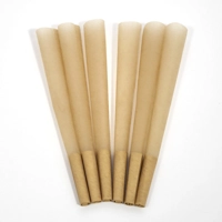 CONES - Sold Individually