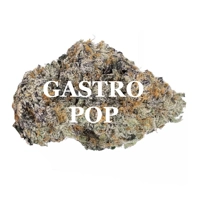 GASTRO POP (Indica) AAAA