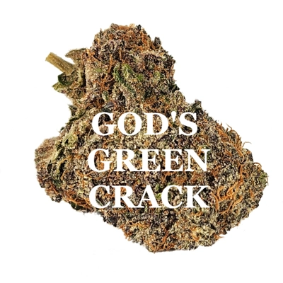 GOD'S GREEN CRACK (Ind/Hyb) AAAA GOD'S GREEN CRACK (Ind/Hyb) AAAA