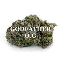 GODFATHER O.G. (Indica) AAA++