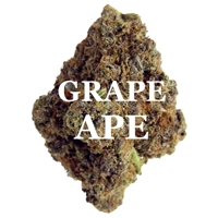 GRAPE APE (Indica) AAAA