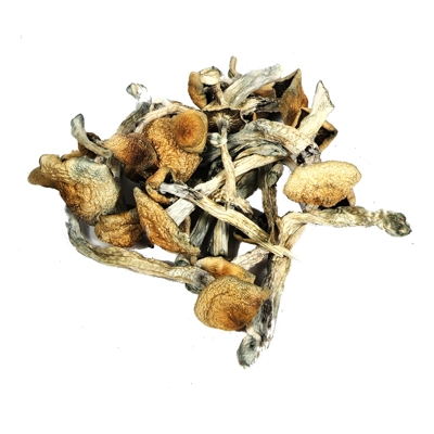 Psilocybin - HILLBILLY