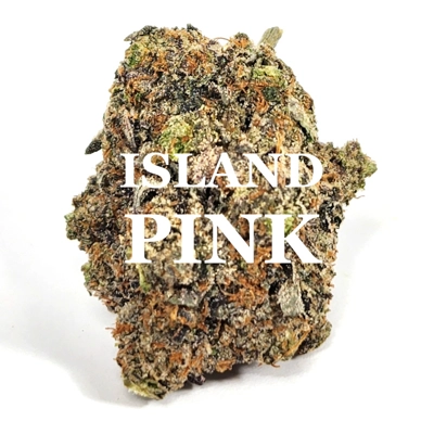 ISLAND PINK (Indica) AAAA