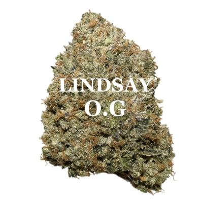 LINDDAY O.G. (Ind/Hyb) AAAA