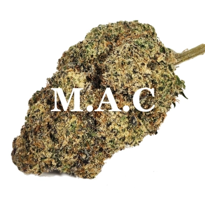 MIRACLE ALIEN COOKIES (Hybrid) AAA++