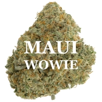 MAUI WOWIE (Sativa) AAA