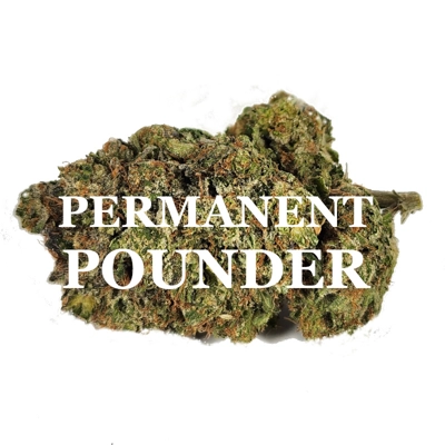 PERMANENT POUNDER (Indica) AAA++ PERMANENT POUNDER (Indica) AAA++