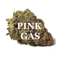 PINK GAS (Indica) AAA+
