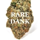 RARE DANKNESS (Indica) AAA