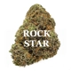 ROCKSTAR (Indica) AAA
