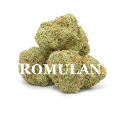 ROMULAN (Pure Indica) AAA++