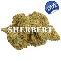 SHERBERT (Indica) AAA+