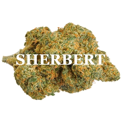SHERBERT (Indica) AAA+ SHERBERT (Indica) AAA+