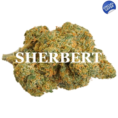 SHERBERT (Indica) AAA+