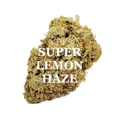 SUPER LEMON HAZE (Sativa) AAA SUPER LEMON HAZE (Sativa) AAA