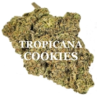 TROPICANA COOKIES (Sativa) AAAA
