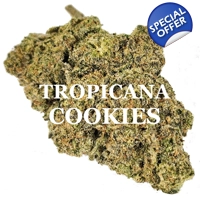 TROPICANA COOKIES (Sativa) AAAA