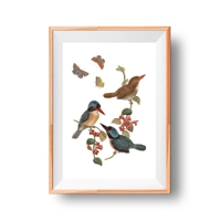 Birds and Butterflies Instant Wal..