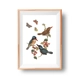 Birds and Butterflies Instant Wall Art Print