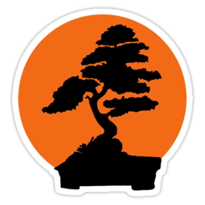 Karate Kid collection