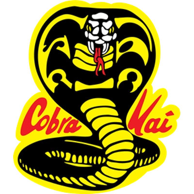 Karate Kid collection