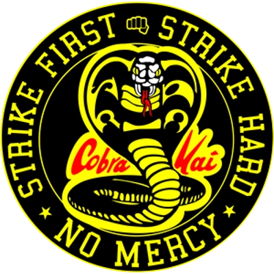 Karate Kid collection